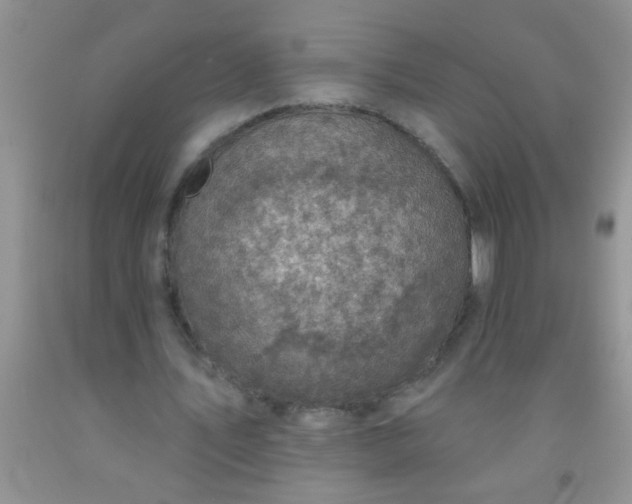 X0000092030579200709201614