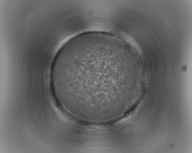 X0000092030580200709201614