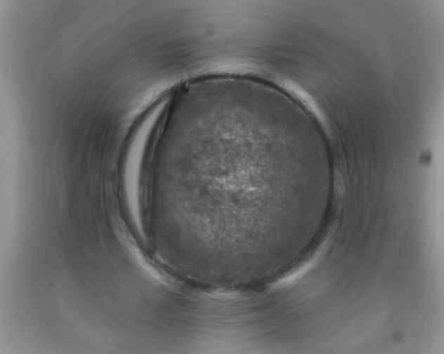 X0000092030581200709201614