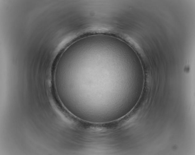 X0000092030582200709201614