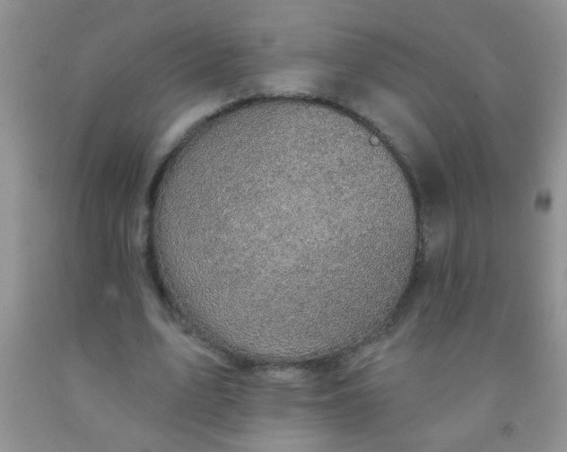 X0000092030583200709201614