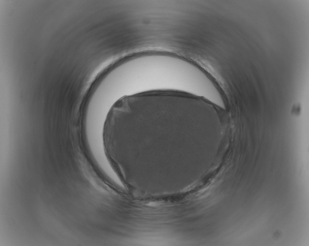 X0000092030584200709201614