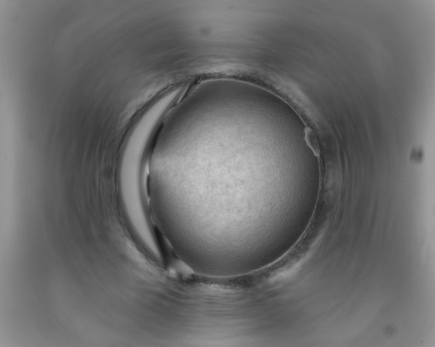 X0000092030585200709201614