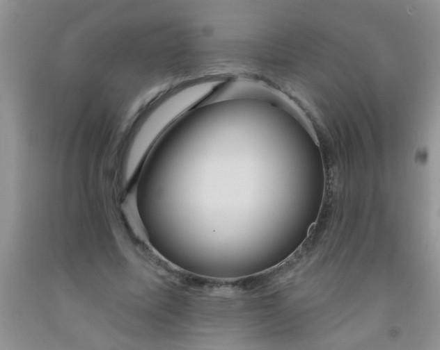 X0000092030587200709201614