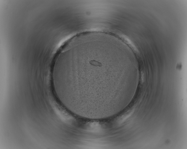 X0000092030588200709201614