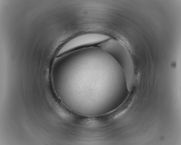 X0000092030589200709201614