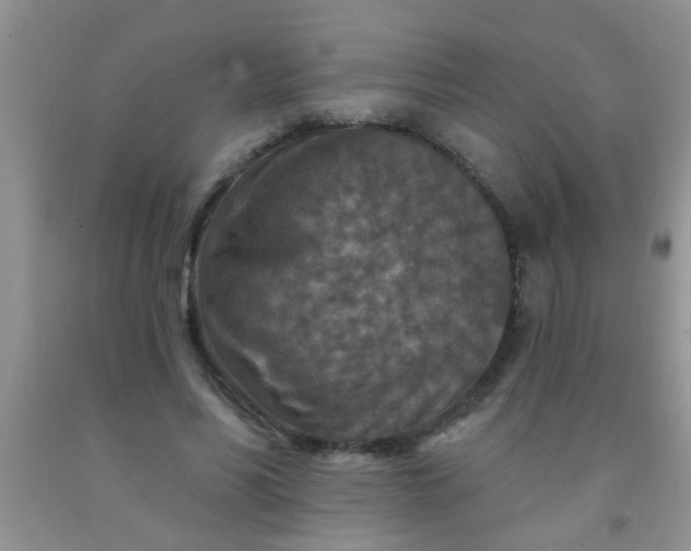 X0000092030590200709201614