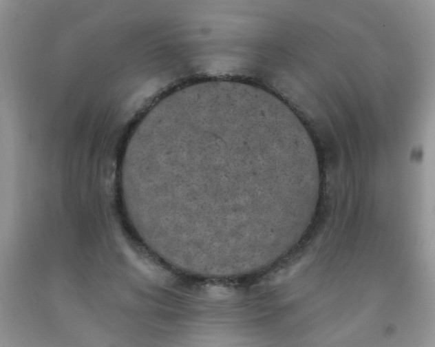 X0000092030592200709201614