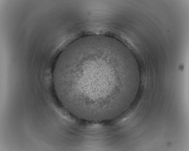 X0000092030594200709201614