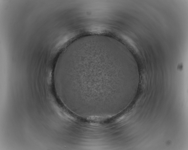 X0000092030596200709201614