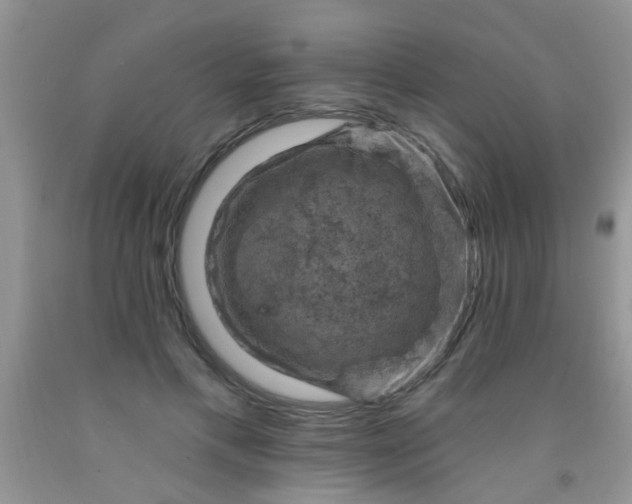 X0000092030597200709201614