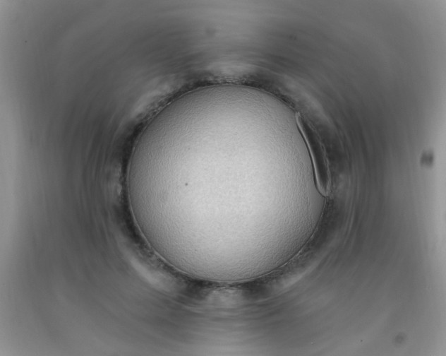 X0000092030599200709201613