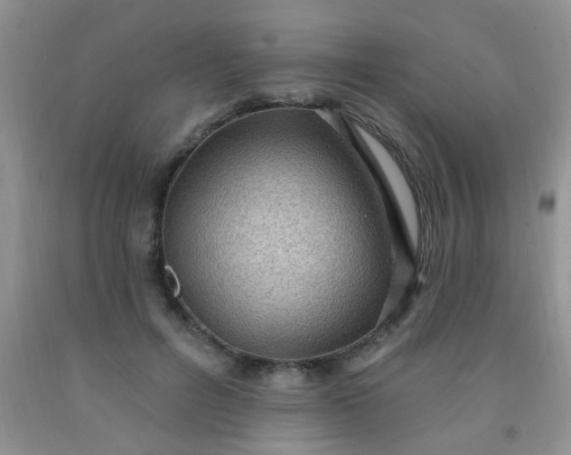 X0000092030600200709201613