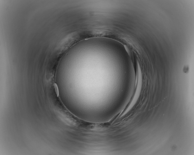 X0000092030601200709201613