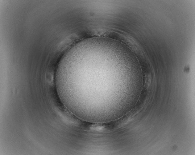 X0000092030602200709201613