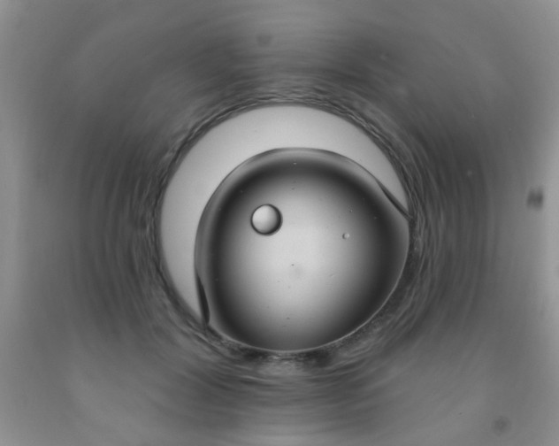 X0000092030604200709201613