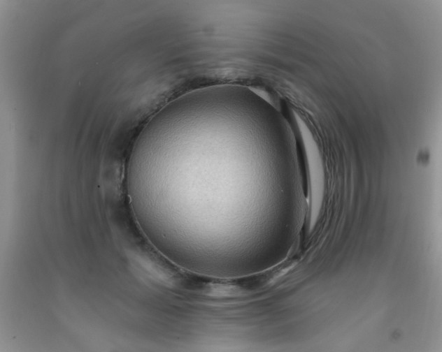 X0000092030605200709201613