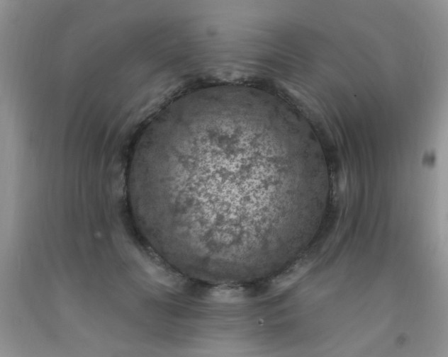 X0000092030606200709201613