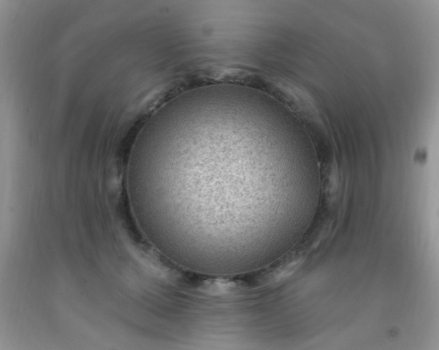 X0000092030607200709201613