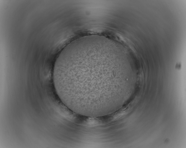 X0000092030608200709201613