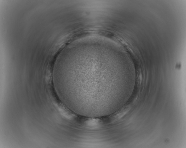 X0000092030609200709201613