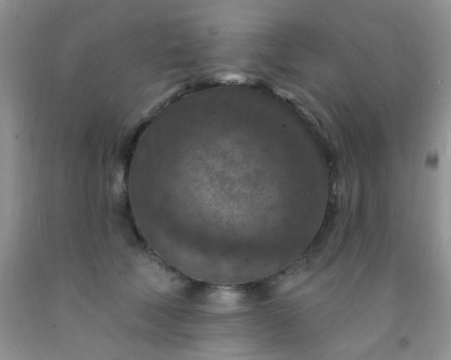 X0000092030610200709201613