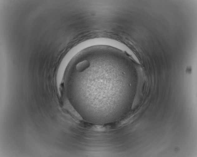 X0000092030613200709201613