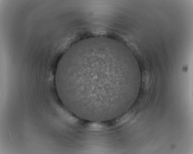 X0000092030614200709201613