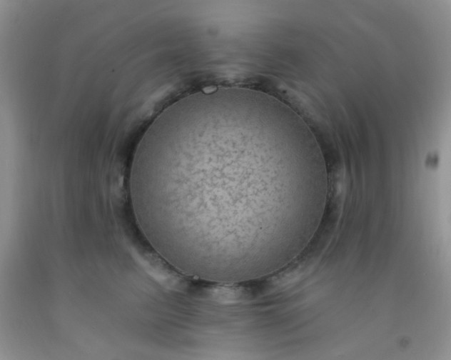 X0000092030615200709201613