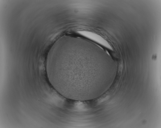 X0000092030616200709201613