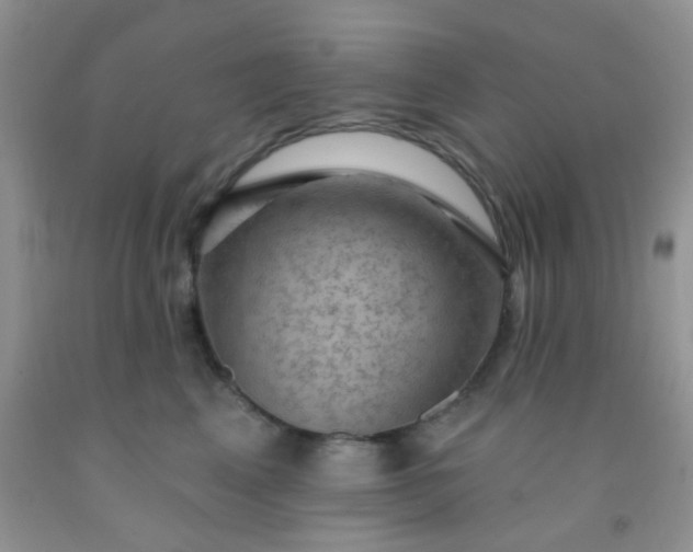 X0000092030617200709201613