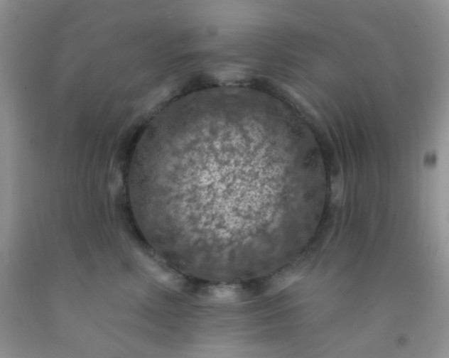 X0000092030618200709201613