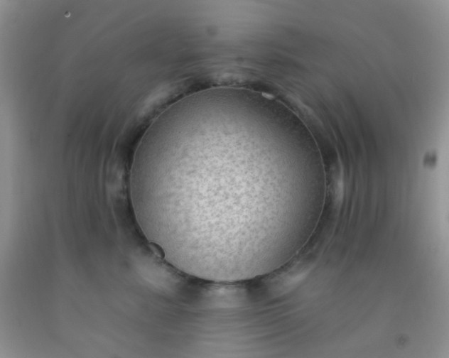 X0000092030619200709201613