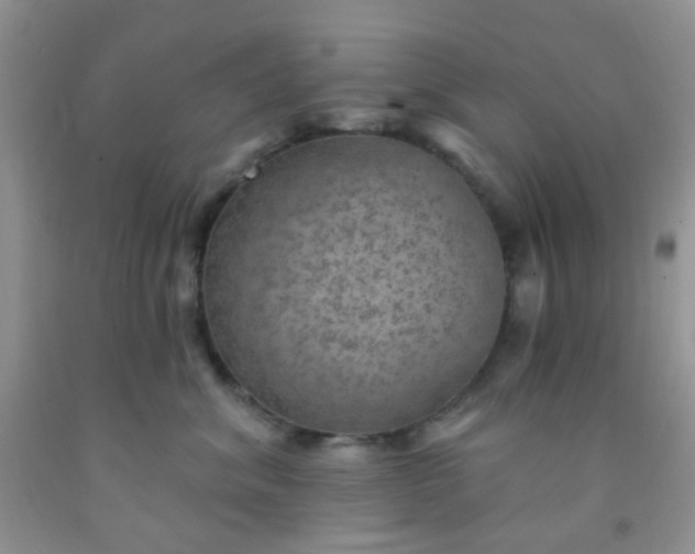 X0000092030620200709201613