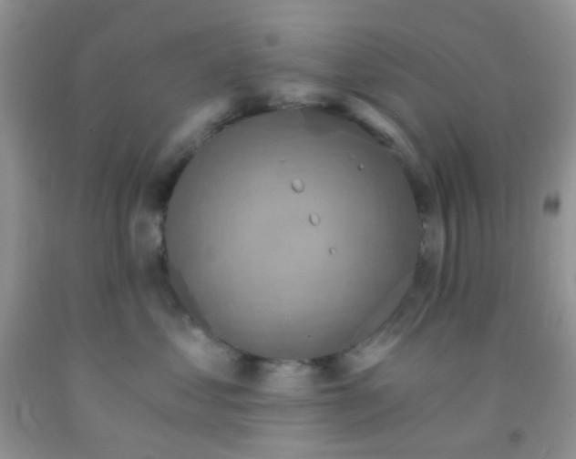 X0000092030621200709201613