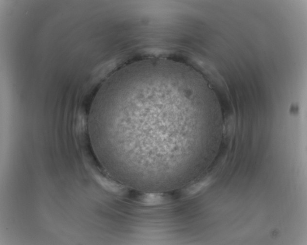 X0000092030623200709201613