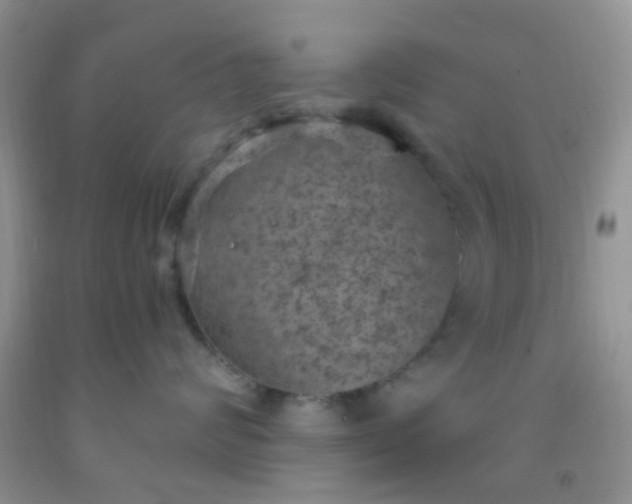 X0000092030624200709201613