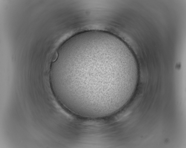 X0000092030625200709201612