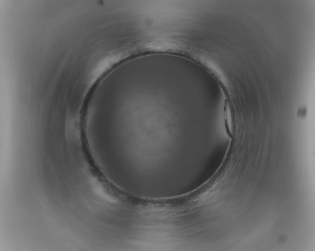 X0000092030626200709201612