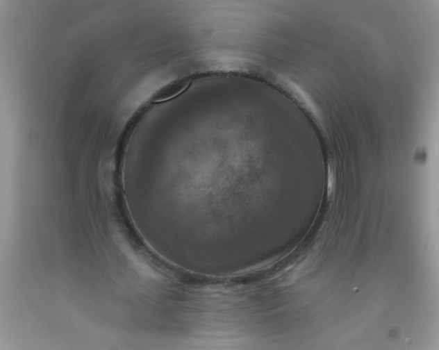 X0000092030627200709201612