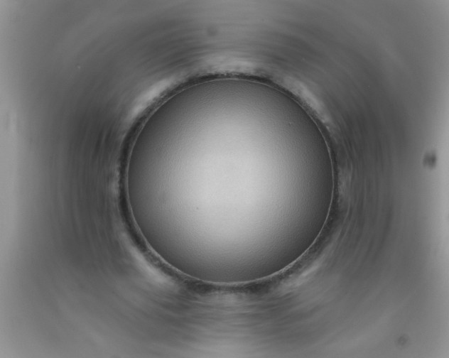 X0000092030629200709201612