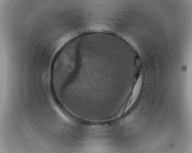 X0000092030630200709201612