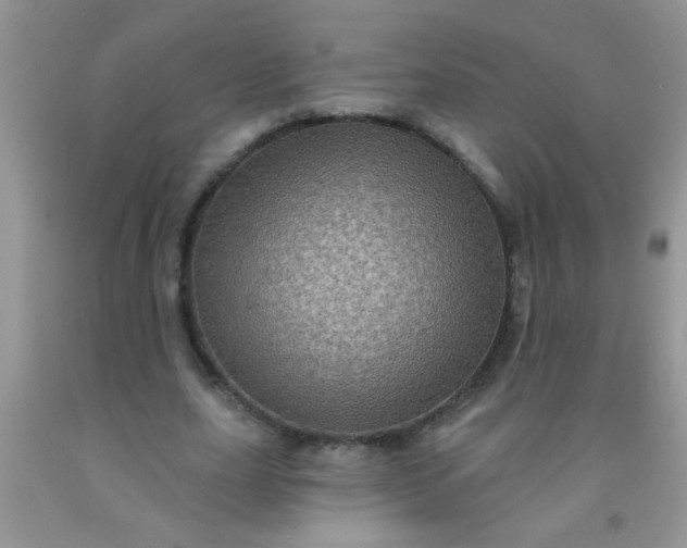 X0000092030631200709201612