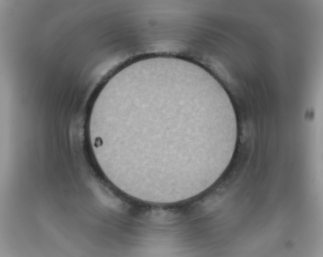 X0000092030632200709201613