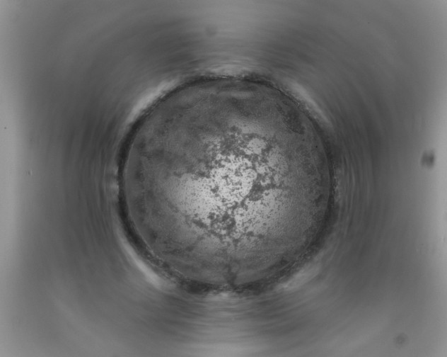 X0000092030634200709201613