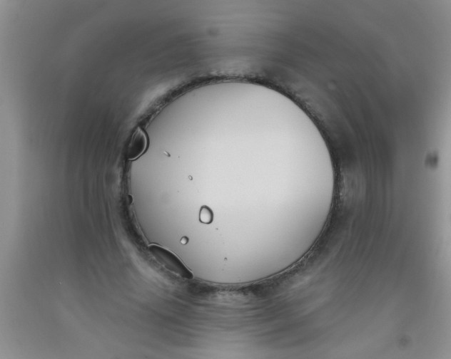 X0000092030636200709201613