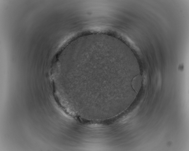 X0000092030637200709201613