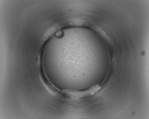 X0000092030638200709201613