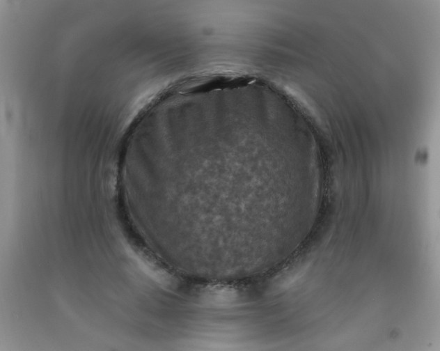 X0000092030640200709201613