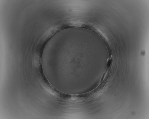 X0000092030641200709201613